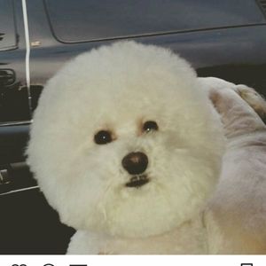 Meet your Posher, Jane